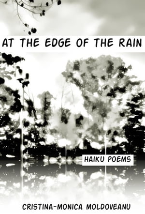 At the Edge of the Rain