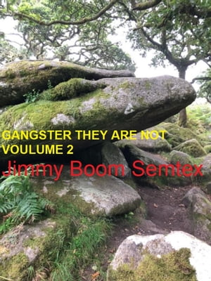 Gangster They Are Not Volume 2