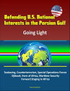 Defending U.S. National Interests in the Persian Gulf: Going Light - Seabasing, Counterterrorism, Special Operations Forces, Djibouti, Horn of Africa, Maritime Security, Forward Staging in Africa【電子書籍】 Progressive Management