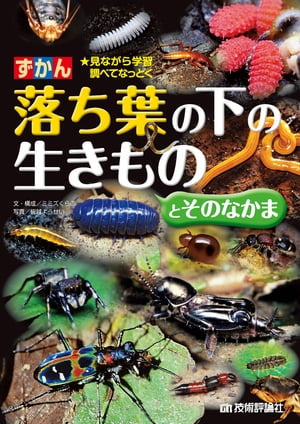 ずかん　落ち葉の下の生きものとそのなかま【電子書籍】[ ミミズくらぶ【文・構成】 ]