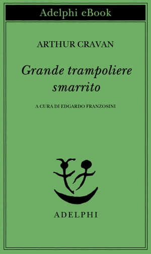 Grande trampoliere smarrito