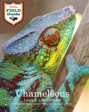 Chameleons