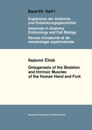 Ontogenesis of the Skeleton and Intrinsic Muscles of the Human Hand and Foot