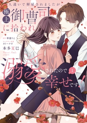 Ͱ㤤ǲۤޤ˾ʤ˽Ů줿ΤǹǤ1ŻҸŵաۡŻҽҡ[ ¿̦ ]