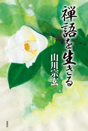 山川宗玄