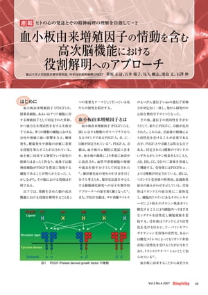 ヒトの心の発達とその精神病理の理解を目指して : 第2回 血小板由来増殖因子の情動を含む高次脳機能における役割解明へのアプローチ