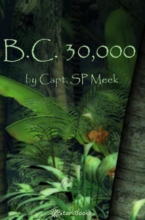 B.C. 30000