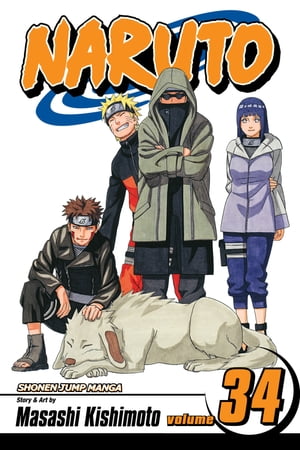 Naruto, Vol. 34 The Reunion