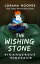 The Wishing Stone #1: Dangerous DinosaurŻҽҡ[ Lorana Hoopes ]