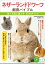 ネザーランドドワーフ　飼育バイブル　長く元気に暮らす50のポイント【電子書籍】[ 田向健一 ]