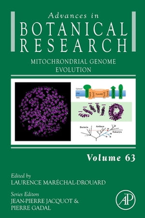 Mitochondrial Genome Evolution