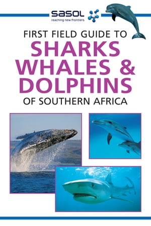 First Field Guide to Sharks, Whales and Dolphins of Southern Africa