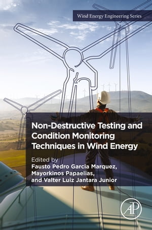 Non-Destructive Testing and Condition Monitoring Techniques in Wind Energy