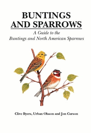 Buntings and Sparrows