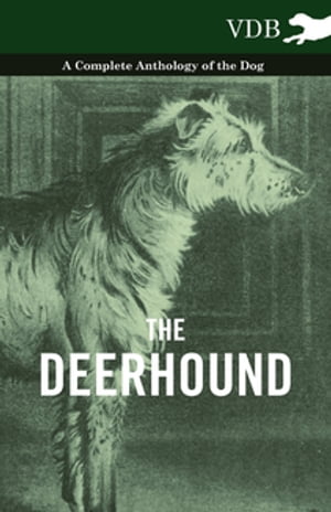 The Deerhound - A Complete Anthology of the Dog