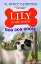 Lily to the Rescue: Dog Dog GooseŻҽҡ[ W. Bruce Cameron ]