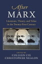 After Marx Literature, Theory, and Value in the Twenty-First Century