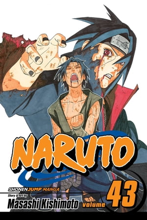 Naruto, Vol. 43