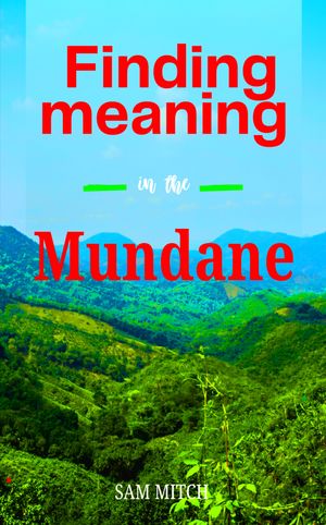 ŷKoboŻҽҥȥ㤨Finding Meaning in the MundaneŻҽҡ[ Sam Mitch ]פβǤʤ1,964ߤˤʤޤ