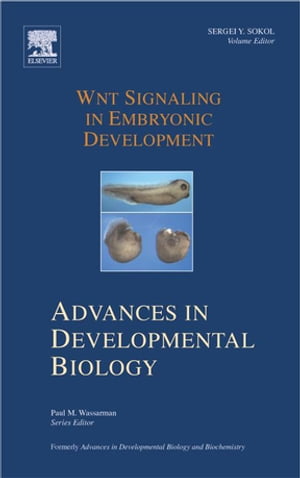 Wnt Signaling in Embryonic Development