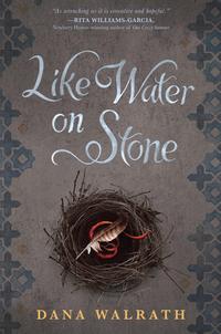 Like Water on StoneŻҽҡ[ Dana Walrath ]