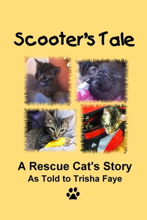 Scooter's Tale: A Rescue Cat's Story