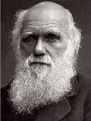 Geological Observations on South AmericaŻҽҡ[ Charles Darwin ]