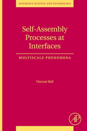 Self-Assembly Processes at Interfaces