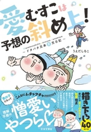 愛むすこは予想の斜め上! ~ドタバタ兄弟育児日記~
