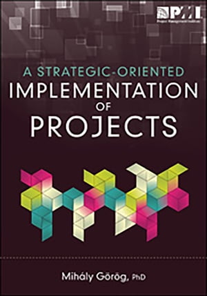 Strategic-Oriented Implementation of Projects