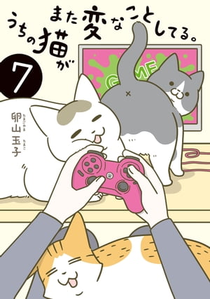 うちの猫がまた変なことしてる。７