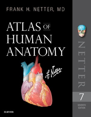 ŷKoboŻҽҥȥ㤨Atlas of Human Anatomy E-Book Digital eBookŻҽҡ[ Frank H. Netter, MD ]פβǤʤ8,812ߤˤʤޤ