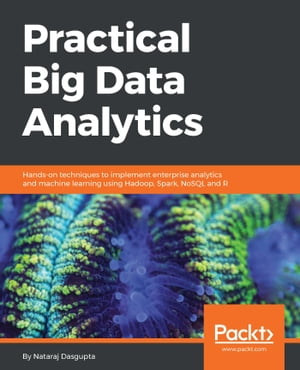 Practical Big Data Analytics Hands-on techniques to implement enterprise analytics and machine learning using Hadoop, Spark, NoSQL and R【電子書籍】 Nataraj Dasgupta