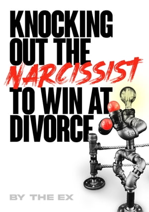 Knocking Out The Narcissist To Win At Divorce