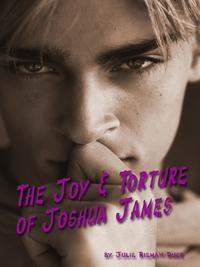 The Joy & Torture of Joshua James