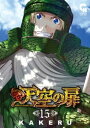 天空の扉 15【電子書籍】