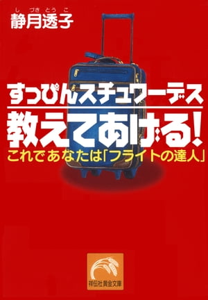 すっぴんスチュワーデス　教えてあげる！