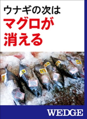 ウナギの次はマグロが消える