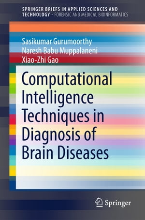 Computational Intelligence Techniques in Diagnosis of Brain Diseases