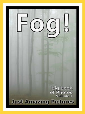 Just Fog Photos! Big Book of Photographs & Pictures of Foggy Mist, Vol. 1