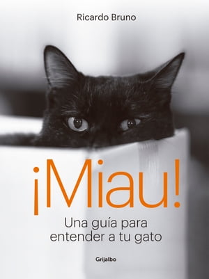 ¡Miau!