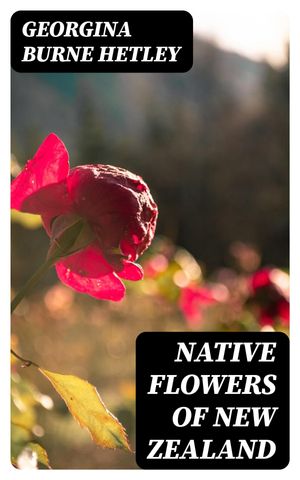 Native Flowers of New Zealand【電子書籍】[