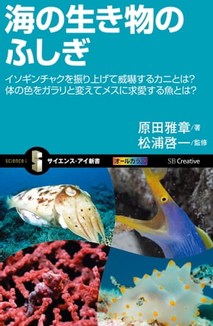 海の生き物のふしぎ イソギンチャクを振り上げて威嚇するカニとは？体の色をガラリと変えてメスに求愛する魚とは？【電子書籍】[ 原田 雅章 ]