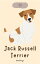 Jack Russell Terrier