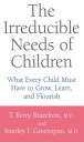 The Irreducible Needs Of Children What Every Child