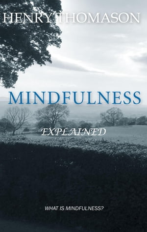 Mindfulness Explained