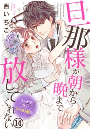 旦那様が朝から晩まで放してくれない〜エッチで甘いワケあり婚！？ 14巻