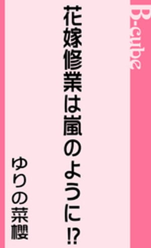 花嫁修業は嵐のように！？