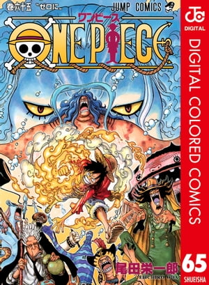 ONE PIECE カラー版 65