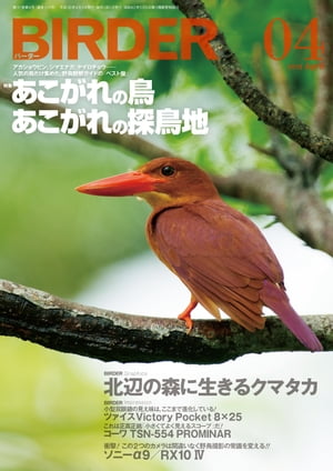 ＜p＞日本で唯一の本格的バードウォッチングマガジン、BIRDER（バーダー）。野鳥グラビア、探鳥地情報、生態・識別・環境保全・観察アイテム・グッズなど、鳥を知り、環境について考えるための記事が満載！＜/p＞ ＜p＞4月号はカラー8ページ増の特別号。特集はアンケート調査を元に、読者が今見たいあこがれの鳥を国内・海外別にランキング、読者が今行ってみたい、鳥地の最新トレンドも紹介。さらに新連載「鳥の“都会暮らし はじめました”」「バイオロギング 鳥の背から見える景色」が始まります。＜/p＞画面が切り替わりますので、しばらくお待ち下さい。 ※ご購入は、楽天kobo商品ページからお願いします。※切り替わらない場合は、こちら をクリックして下さい。 ※このページからは注文できません。